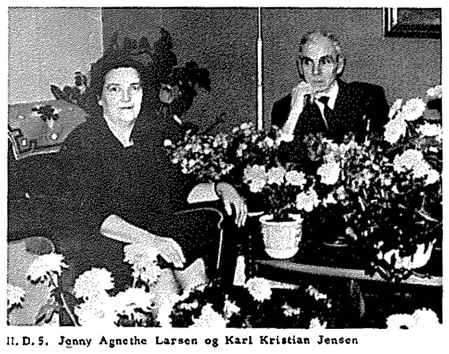 Jenny Agnethe Larsen